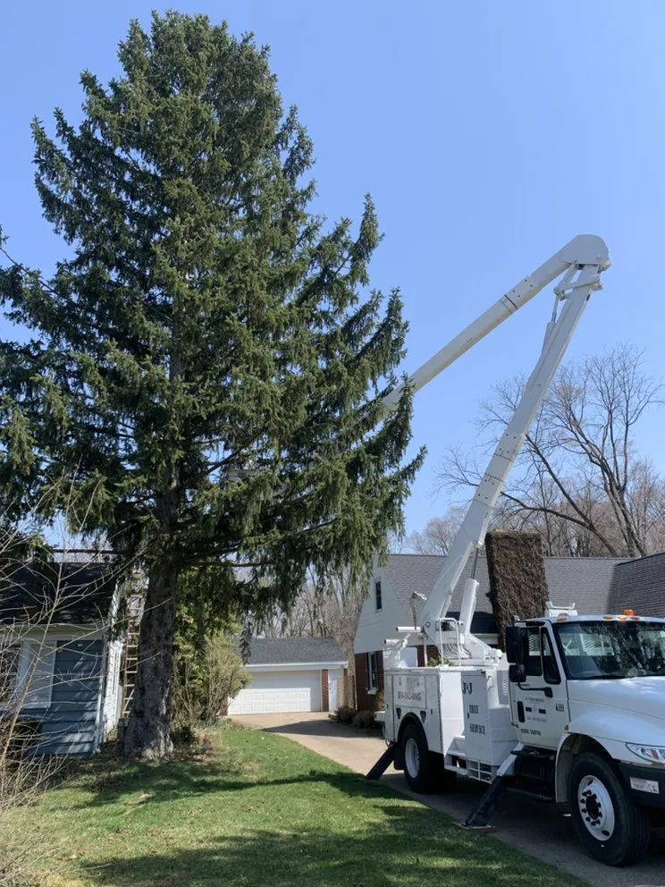 Trusted landscape design in Benton Harbor, MI - JYJ Tree Service