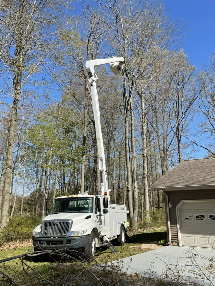 Trusted lawn care service for beautiful yards across Benton Harbor, MI - JYJ Tree Service