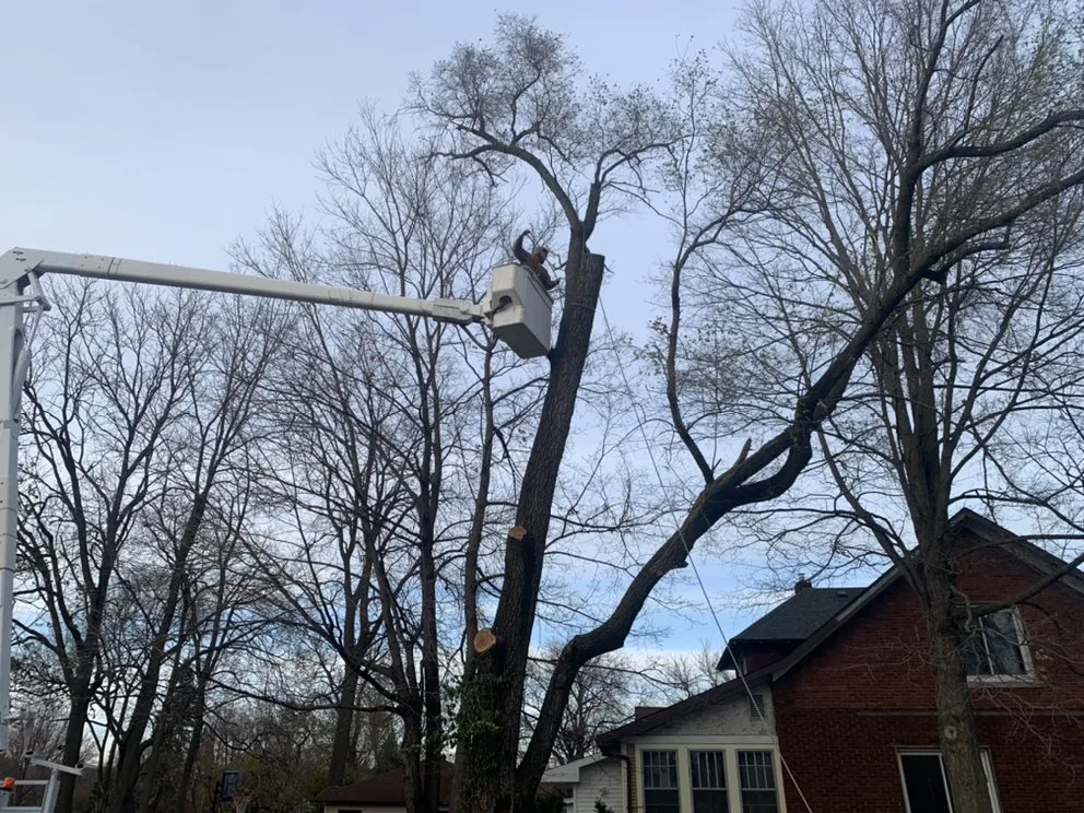 Custom outdoor landscaping with custom design across Benton Harbor, MI - JYJ Tree Service