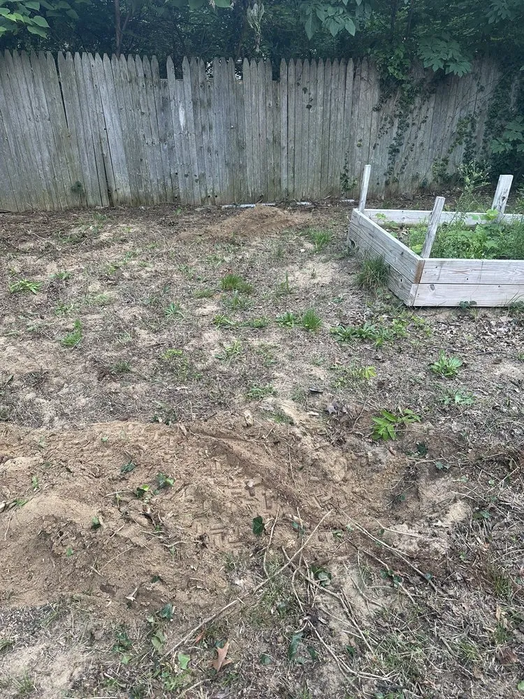 Reliable yard maintenance in Benton Harbor, MI by JYJ Tree Service