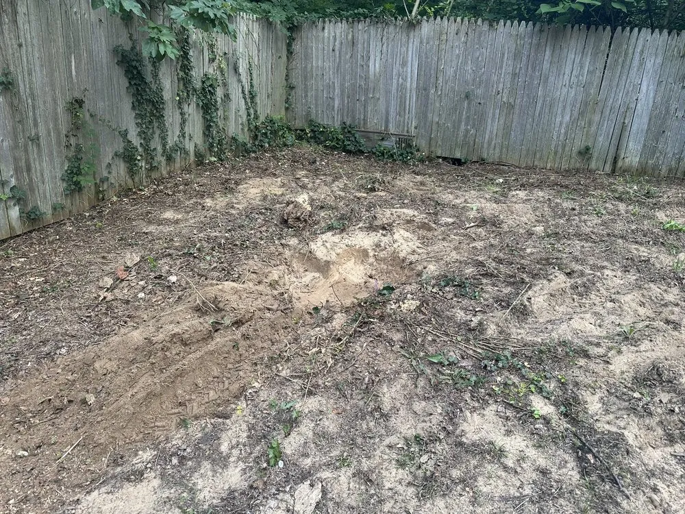 Local outdoor landscaping experts serving Benton Harbor, MI - JYJ Tree Service