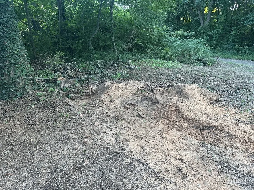 Professional lawn mowing service in Benton Harbor, MI by JYJ Tree Service