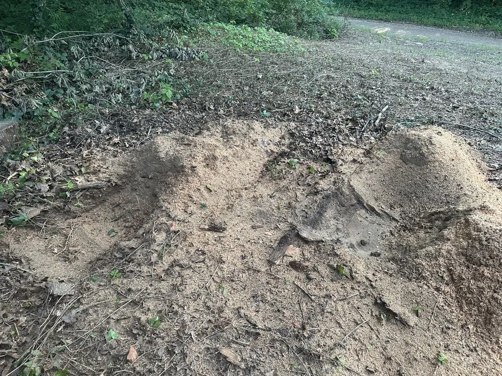 Reliable lawn mowing service in Benton Harbor, MI by JYJ Tree Service