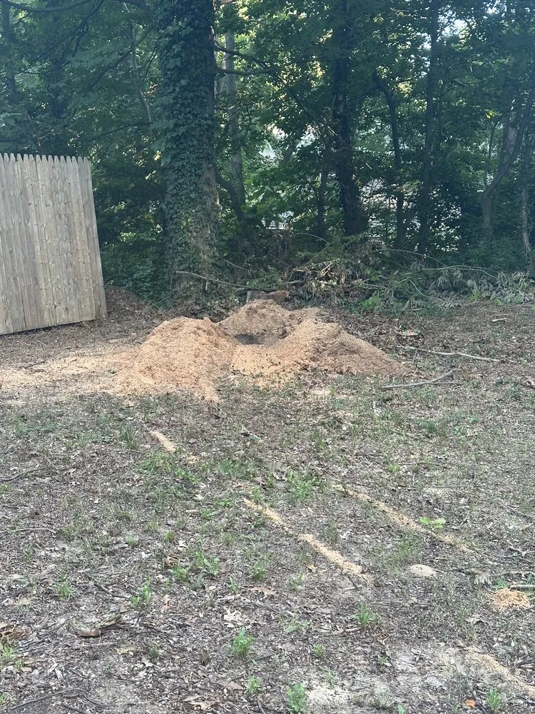 Trusted residential landscaping experts serving Benton Harbor, MI - JYJ Tree Service