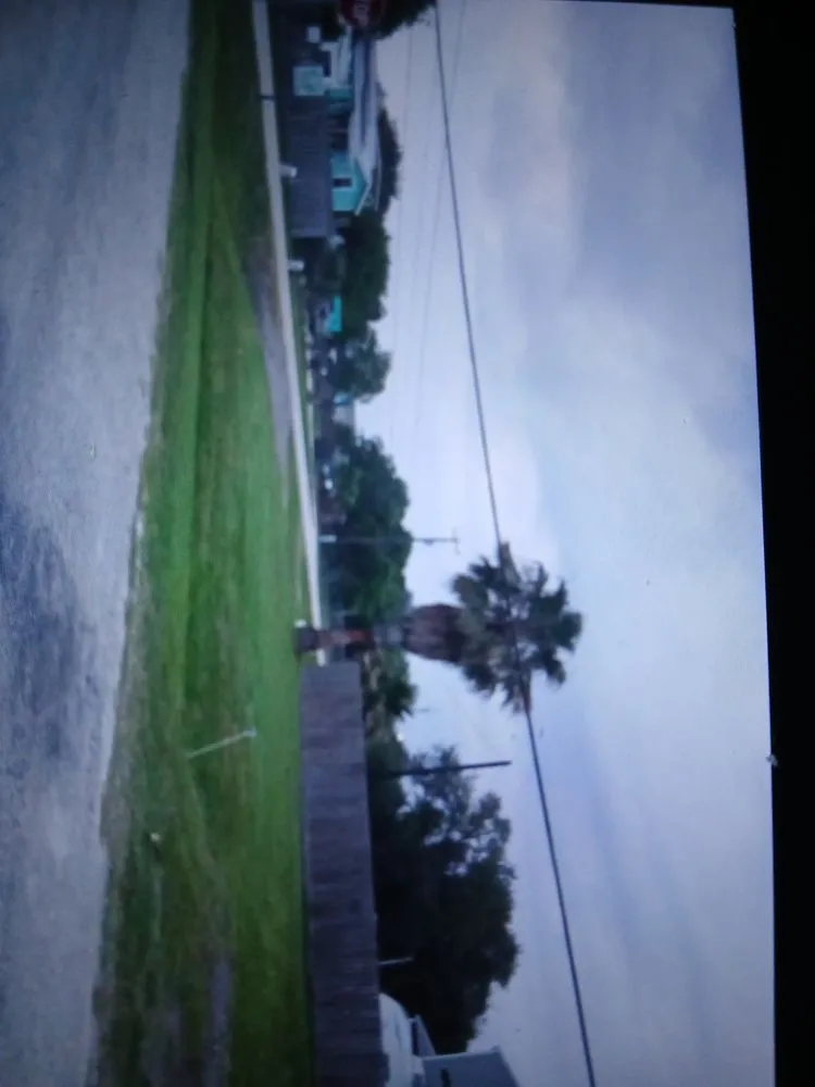 Trusted yard maintenance in League City, TX - JYM Huerta Landscaping