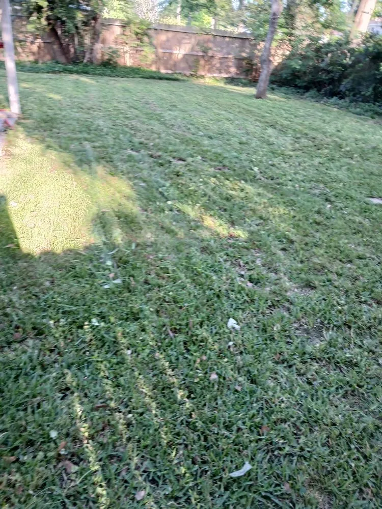 Custom lawn care service in League City, TX by JYM Huerta Landscaping