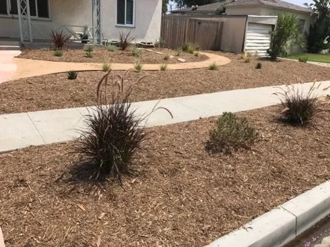 Trusted lawn care service in Long Beach, CA by Jymmy's Landscape