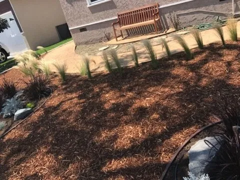 Professional garden landscaping in Long Beach, CA by Jymmy's Landscape