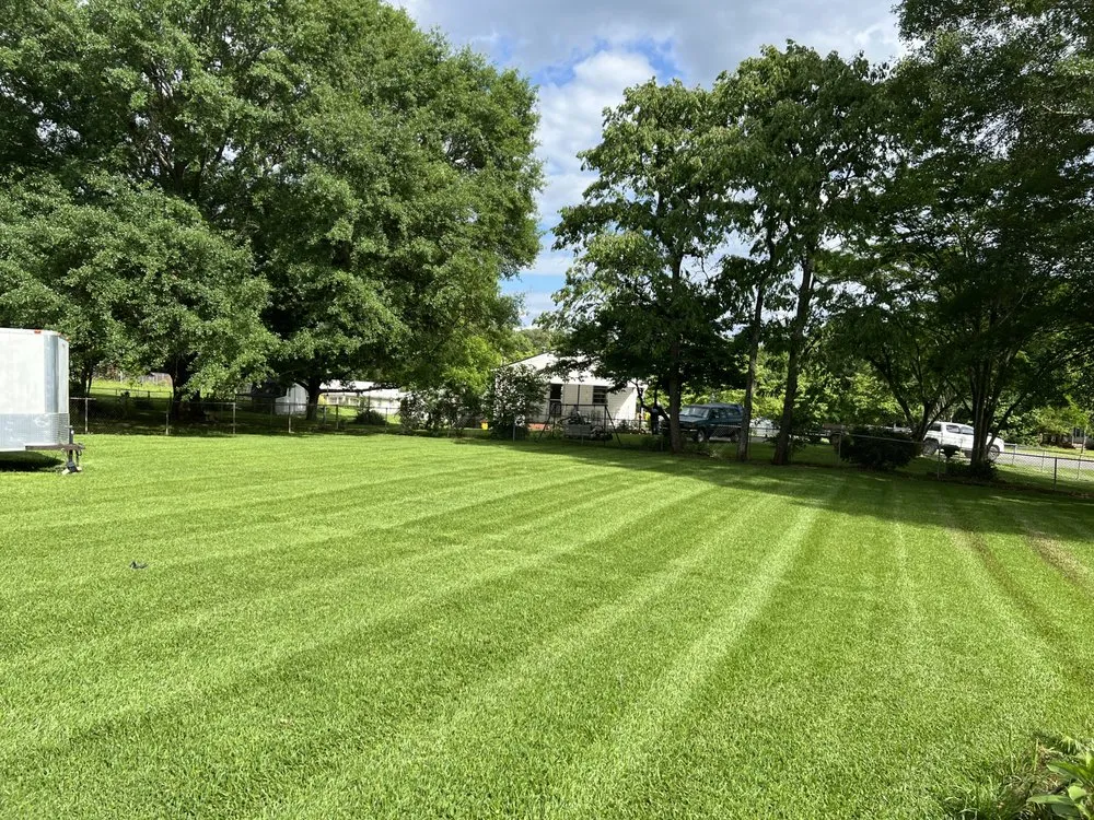 Top-rated outdoor landscaping experts serving Gastonia, NC - JYW Lawn Care
