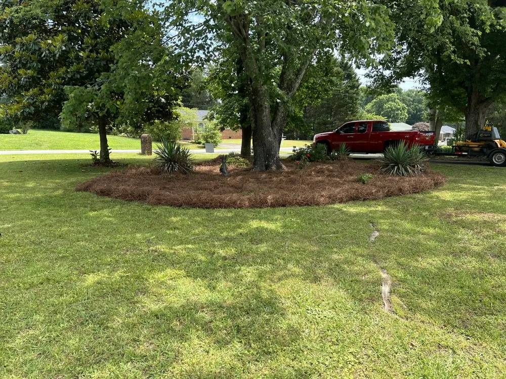 Local yard cleanup service in Gastonia, NC by JYW Lawn Care