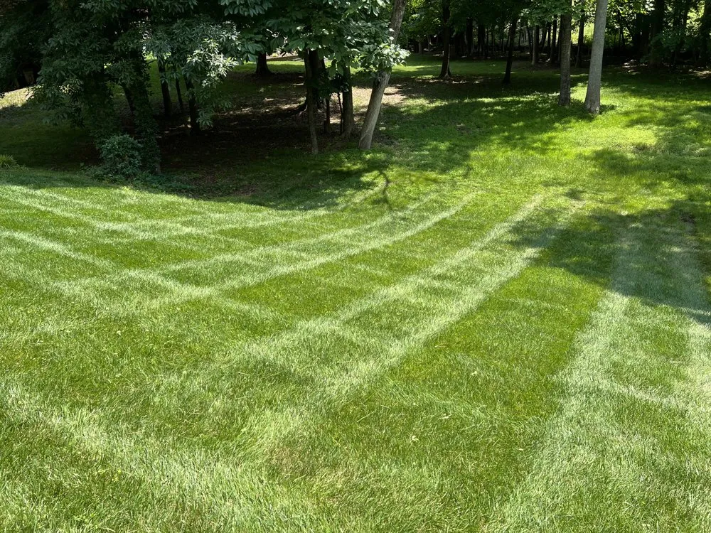 Custom lawn mowing service experts serving Gastonia, NC - JYW Lawn Care