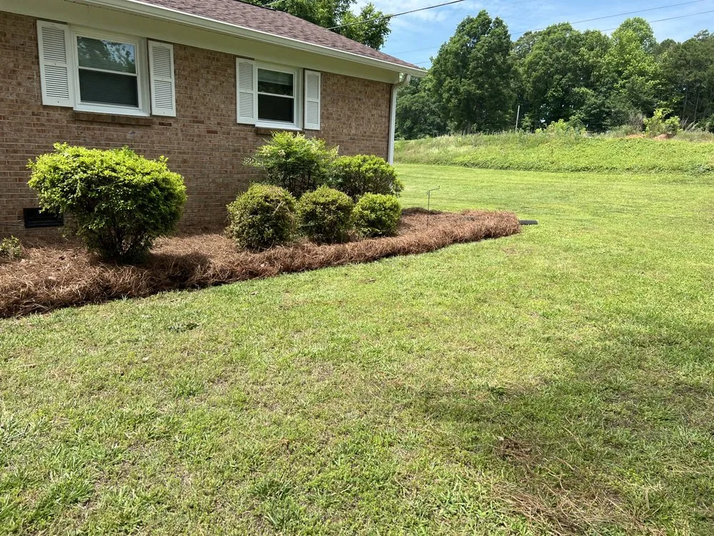 Expert lawn care service with custom design in Gastonia, NC by JYW Lawn Care
