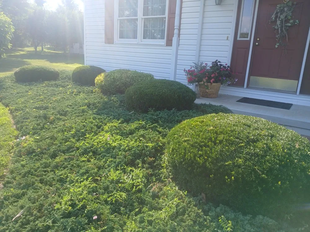 Expert residential landscaping with custom design in Huntingdon, PA by JZ Handywork