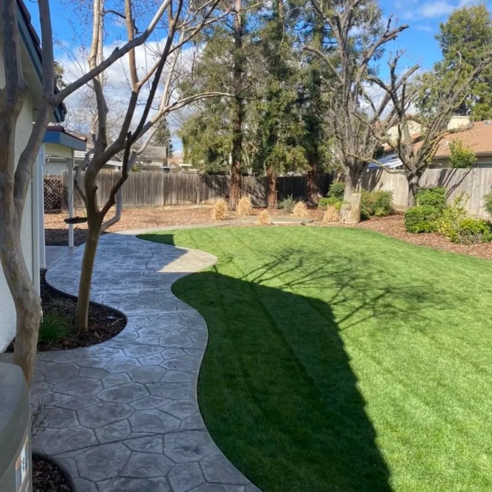 Custom lawn care service for beautiful yards in Fresno, CA by JZ Landscape