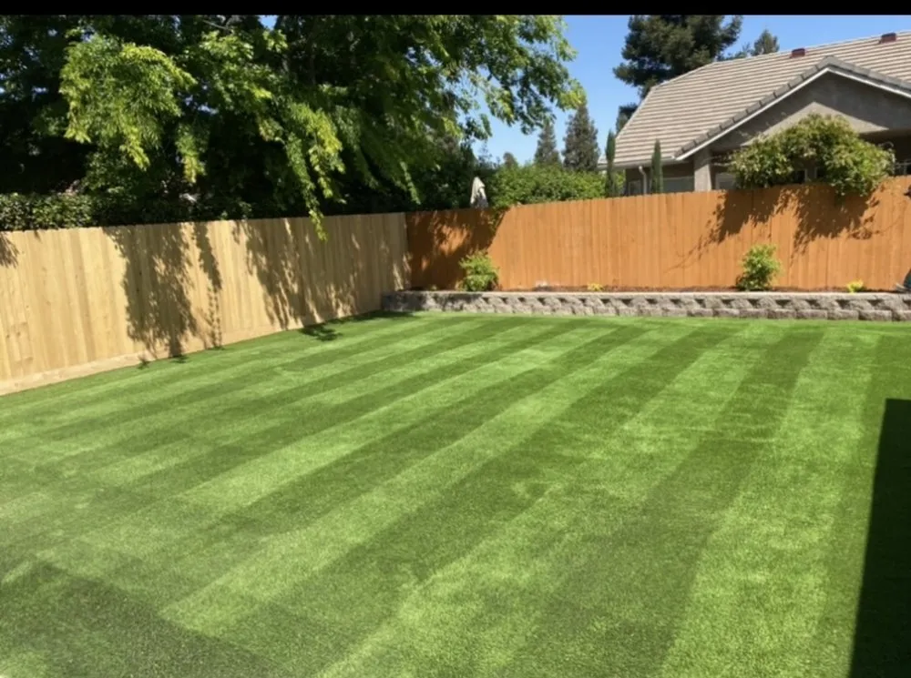 Top-rated yard cleanup service in Fresno, CA - JZ Landscape