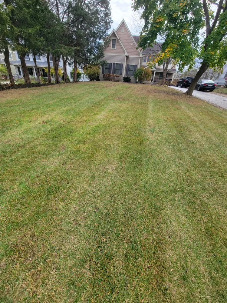 Top-rated yard maintenance in Gurnee, IL by JZ Landscape