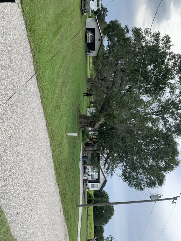 Expert yard maintenance in Arcadia, FL - JZ Landscaping