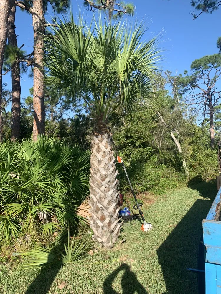 Trusted outdoor landscaping for beautiful yards in Arcadia, FL by JZ Landscaping