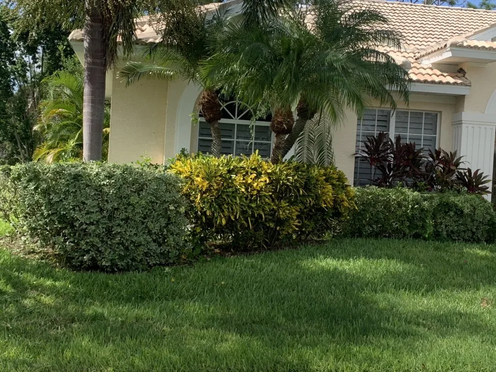 Top-rated outdoor landscaping in Arcadia, FL by JZ Landscaping