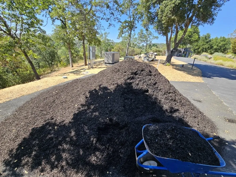 Reliable outdoor landscaping for year-round maintenance in Cloverdale, CA by JZ Landscaping