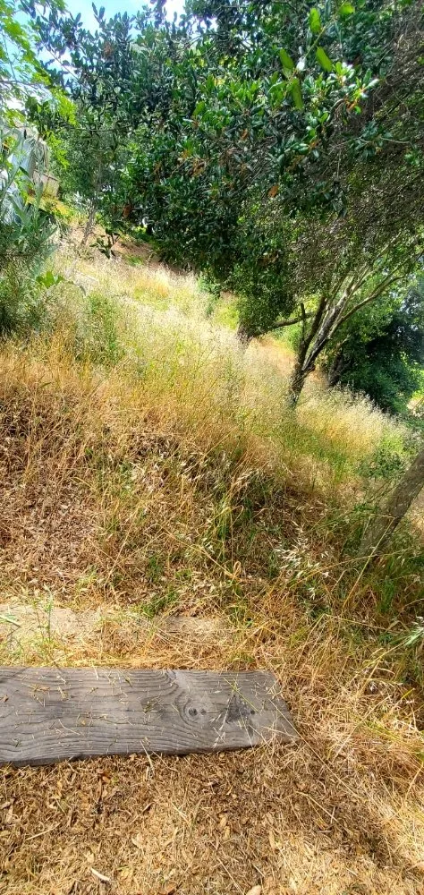 Trusted residential landscaping for residential properties in Cloverdale, CA by JZ Landscaping