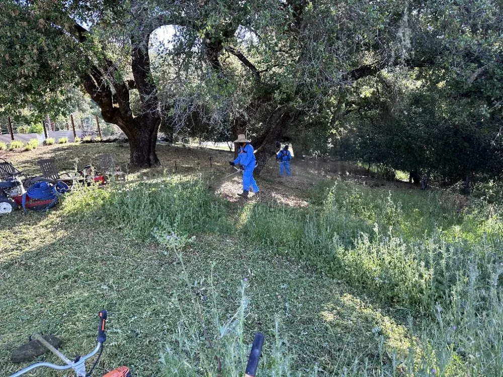 Reliable yard cleanup service for year-round maintenance in Cloverdale, CA by JZ Landscaping