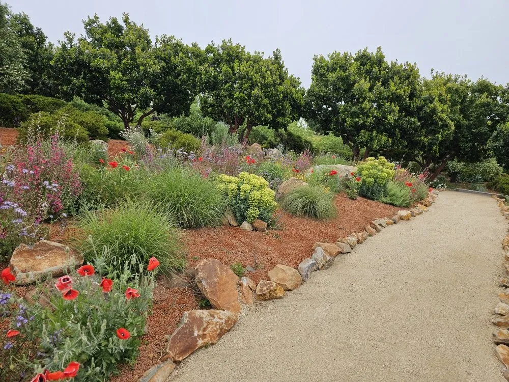 Trusted lawn mowing service in Cloverdale, CA - JZ Landscaping