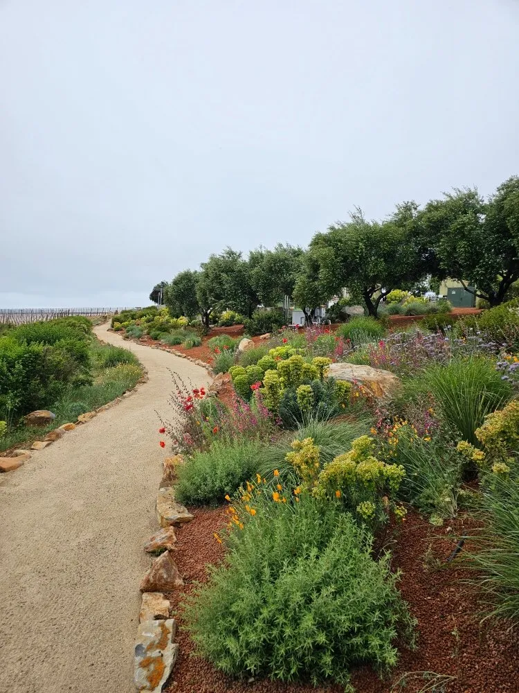 Local yard maintenance in Cloverdale, CA by JZ Landscaping
