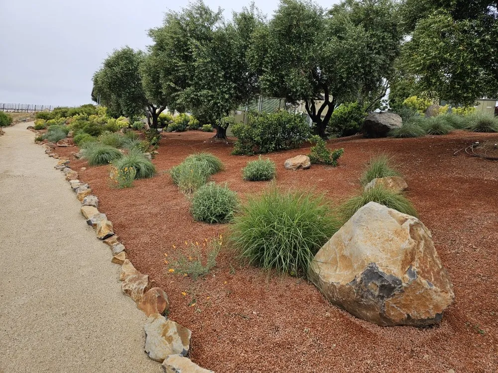 Custom lawn mowing service in Cloverdale, CA - JZ Landscaping