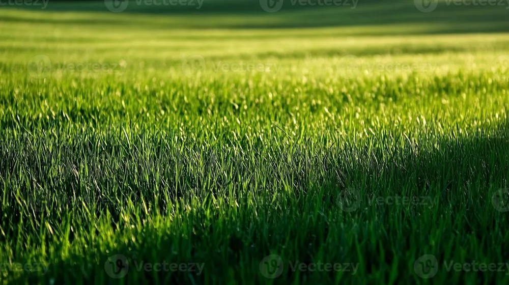 Affordable landscape installation for residential properties across Cottonwood Heights, UT - JZ Landscaping