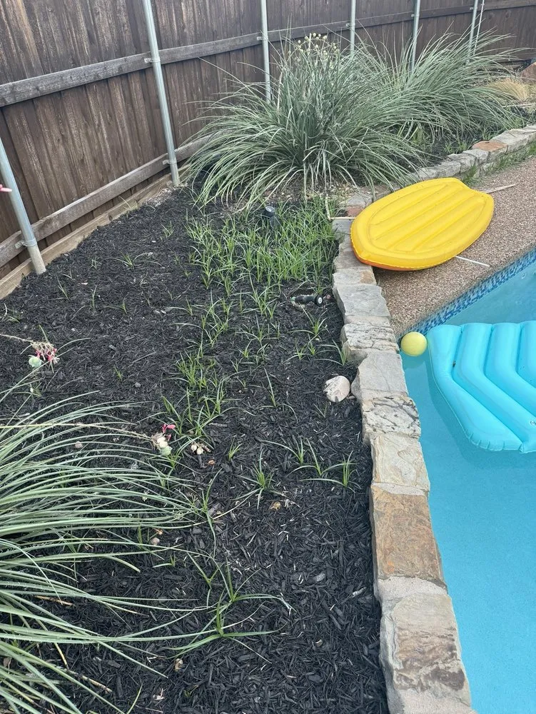 Affordable landscaping services experts serving Garland, TX - J&Z Landscaping