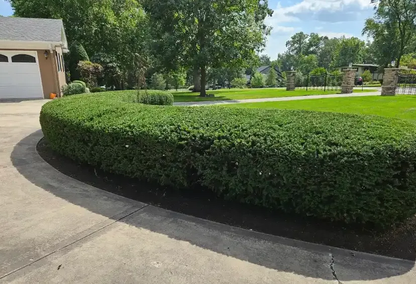 Custom yard cleanup service in West Chicago, IL by JZ Landscaping