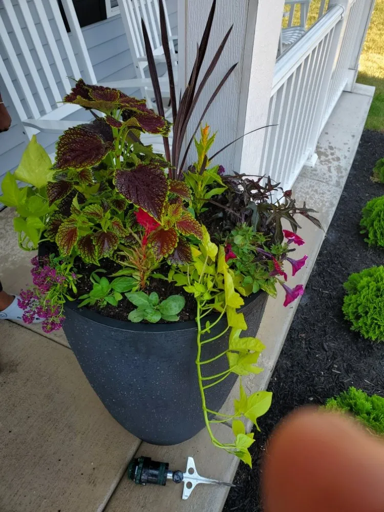 Local yard maintenance experts serving West Chicago, IL - JZ Landscaping