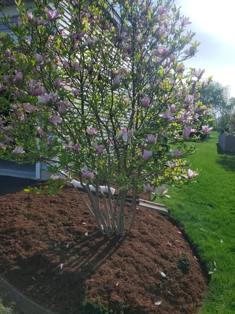 Custom garden landscaping in West Chicago, IL - JZ Landscaping