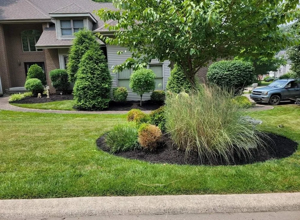 Expert yard cleanup service for outdoor upgrades across Huntington, WV - J&Z Lawn Care