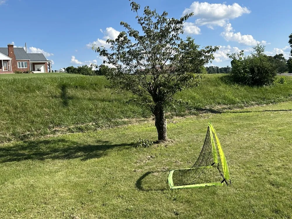 Top-rated outdoor landscaping in Abingdon, VA by JZ Lawncare