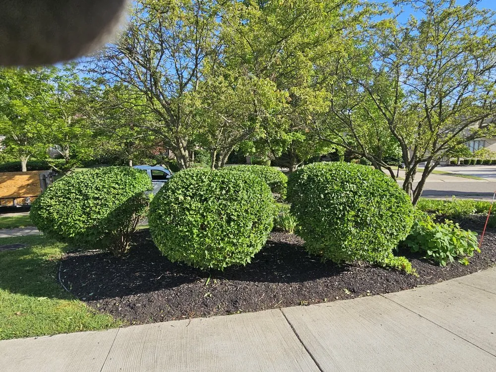 Top-rated outdoor landscaping experts serving Northville, MI - JZ Outdoor Maintenance