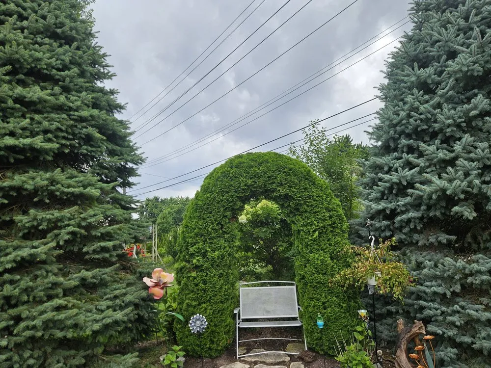 Affordable residential landscaping experts serving Northville, MI - JZ Outdoor Maintenance