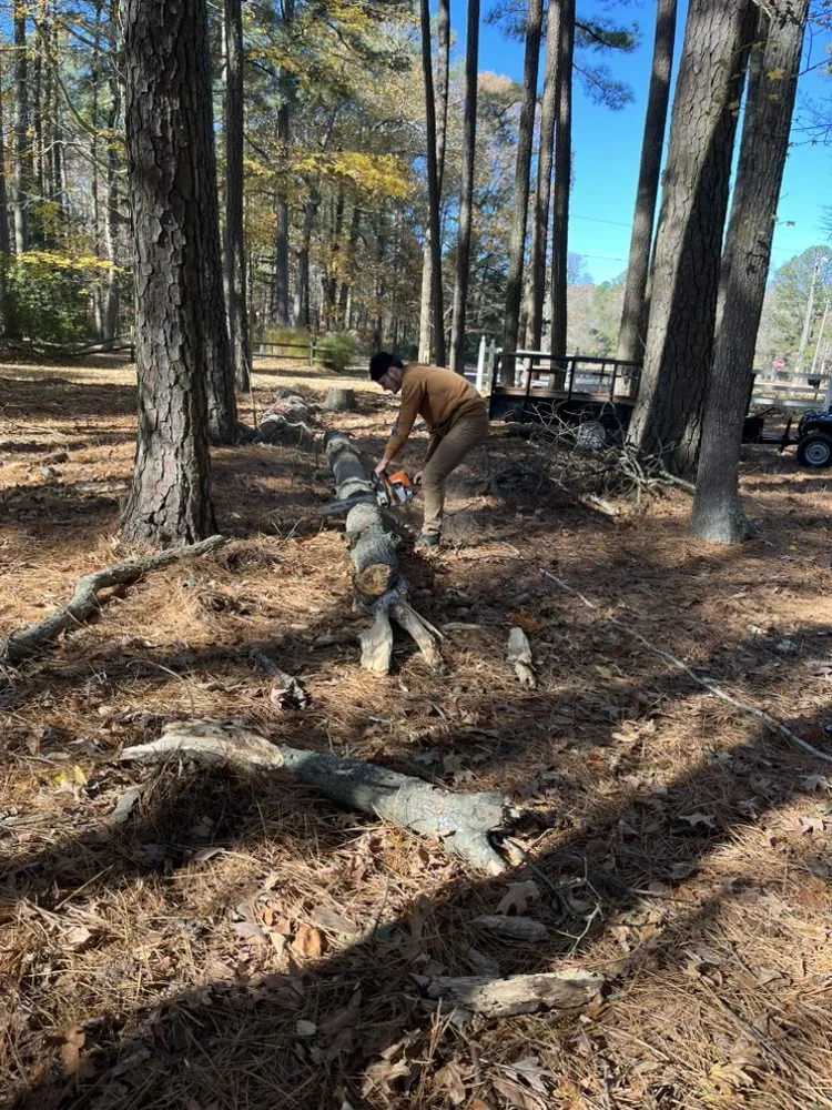 Custom yard maintenance for year-round maintenance across Montross, VA - J&Z Outdoor