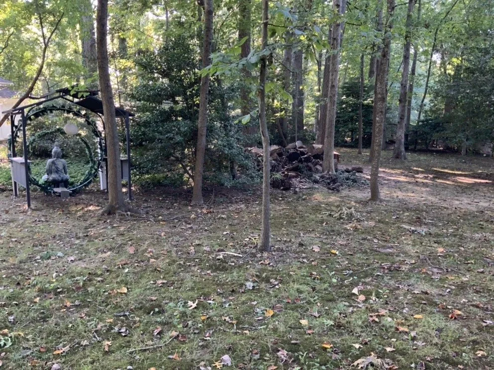 Affordable lawn care service for beautiful yards in Reston, VA by JZL Landscaping Services