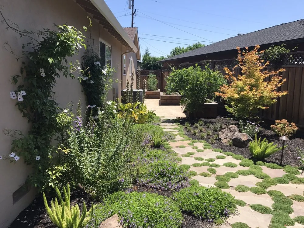Expert yard cleanup service for outdoor upgrades across Pleasanton, CA - K & B Landscape Services