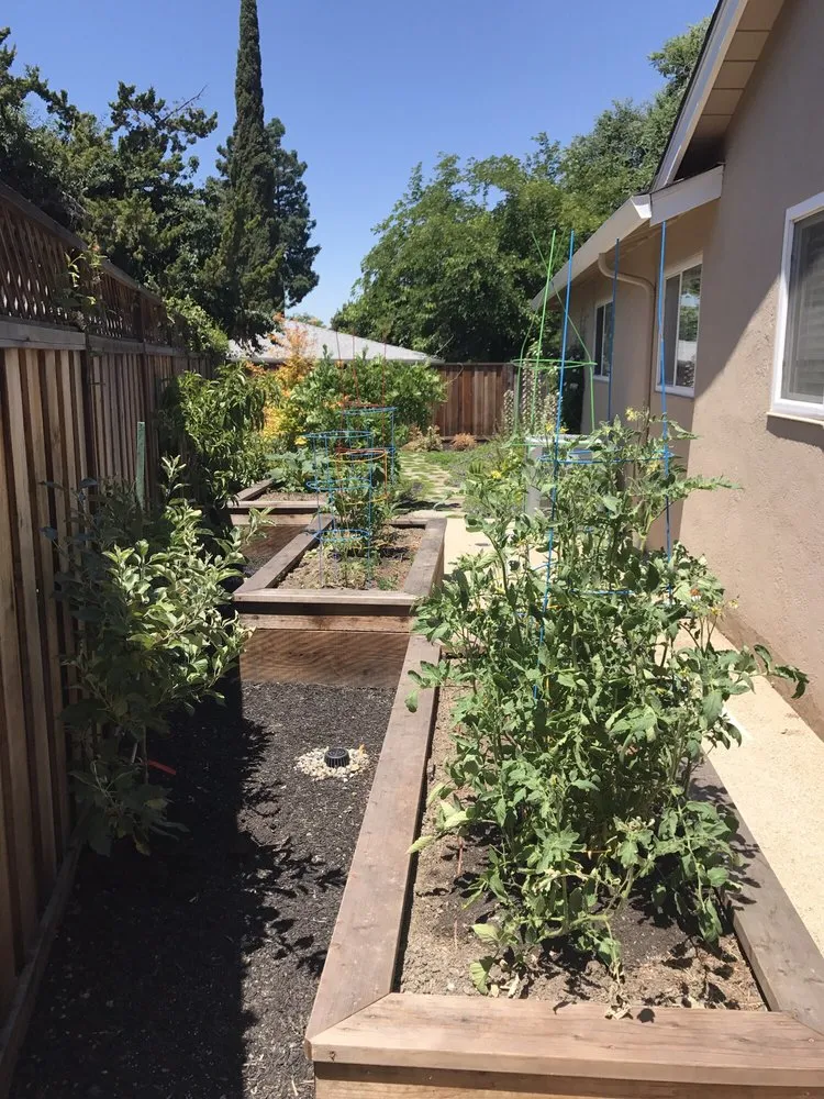 Trusted lawn care service in Pleasanton, CA by K & B Landscape Services