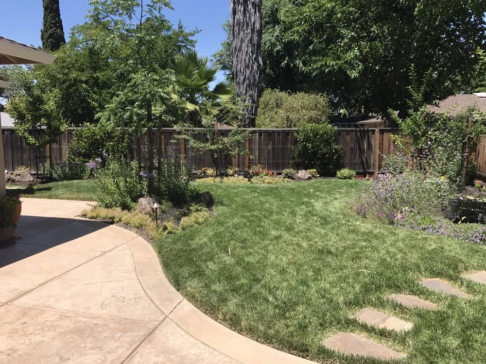 Top-rated yard cleanup service in Pleasanton, CA - K & B Landscape Services