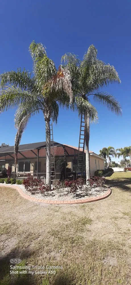 Reliable landscape design in Wimauma, FL by K & C Tree and Shrub Service