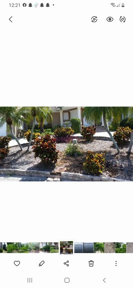 Top-rated garden landscaping with custom design across Wimauma, FL - K & C Tree and Shrub Service