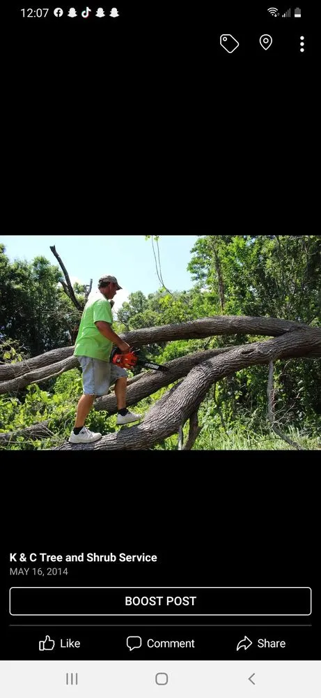 Local yard maintenance in Wimauma, FL - K & C Tree and Shrub Service