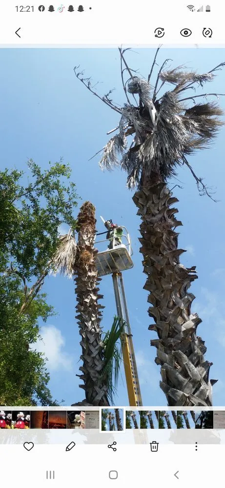 Custom landscape design in Wimauma, FL by K & C Tree and Shrub Service