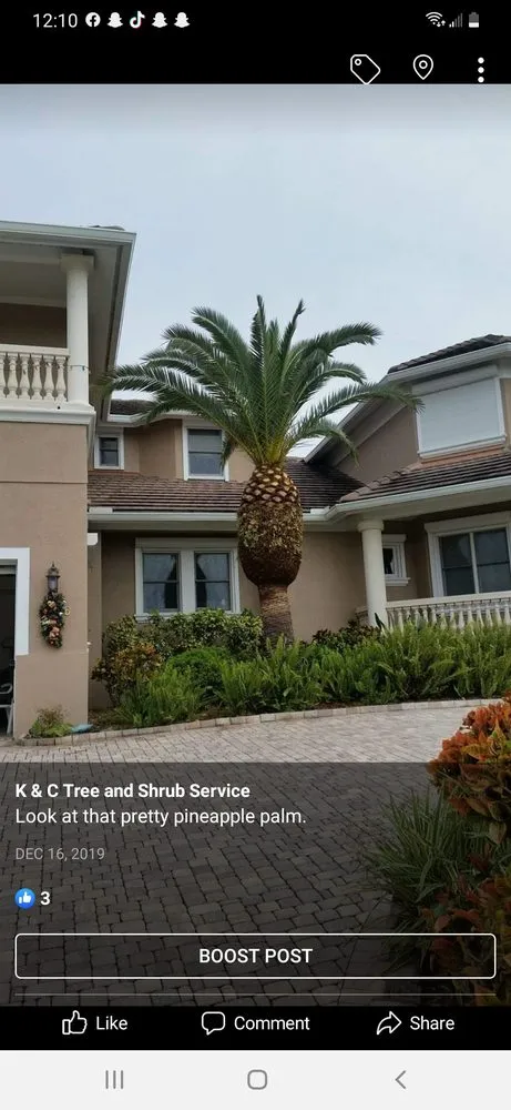 Reliable lawn care service experts serving Wimauma, FL - K & C Tree and Shrub Service