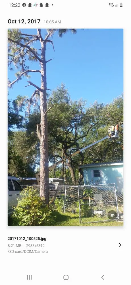 Expert yard maintenance in Wimauma, FL by K & C Tree and Shrub Service