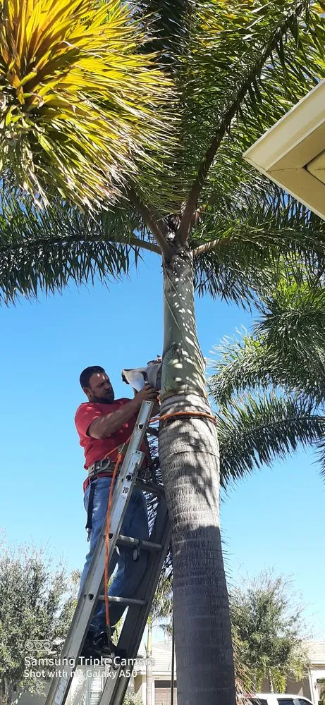 Affordable landscaping services in Wimauma, FL by K & C Tree and Shrub Service